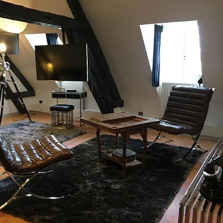 Demeure Des Vieux Bains Bed & Breakfast Provins