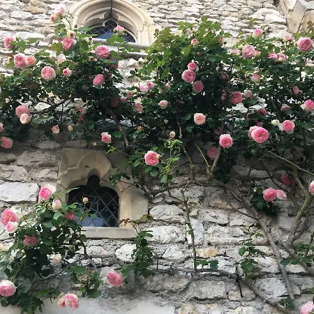 Demeure Des Vieux Bains Panzió Provins